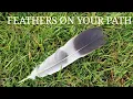 What s the meaning of finding a feather on your path The Spiritual Meaning