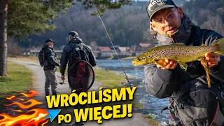 Dunajec powiedział: SPRAWDZAM… więc wróciliśmy po więcej | Pstrągi z Pienin