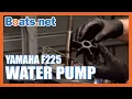 Yamaha F225 Water Pump Replacement Yamaha Outboard Water Pump Impeller Replacement Boats net