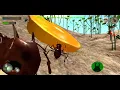 Coding Adventure Ant and Slime Simulations Kodlama Macerasi Karinca ve Balcik Simulasyonlari