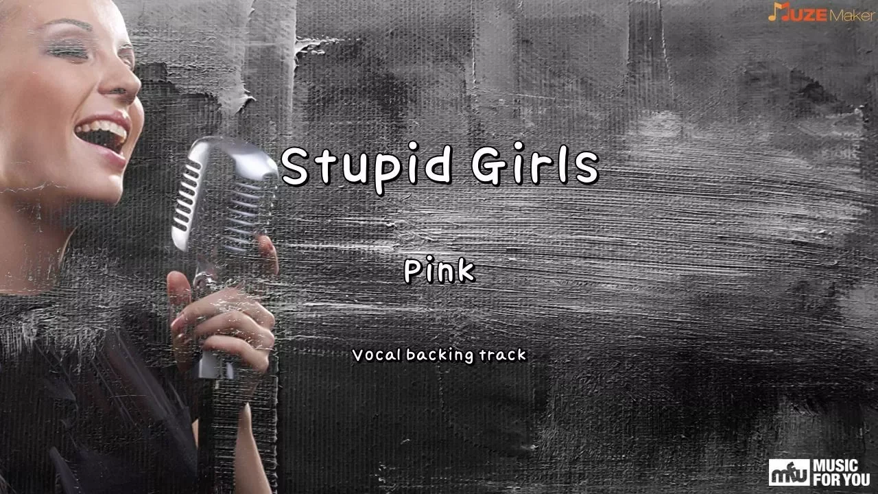 Stupid Girls - Pink (Instrumental & Lyrics)