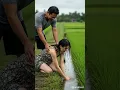 Download Lagu ASMR-regen in een dorp | Plezier met het vangen van paling #asmrain #kort #dorpsleven