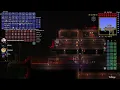 Terraria Calamity with Arizonia Session 6