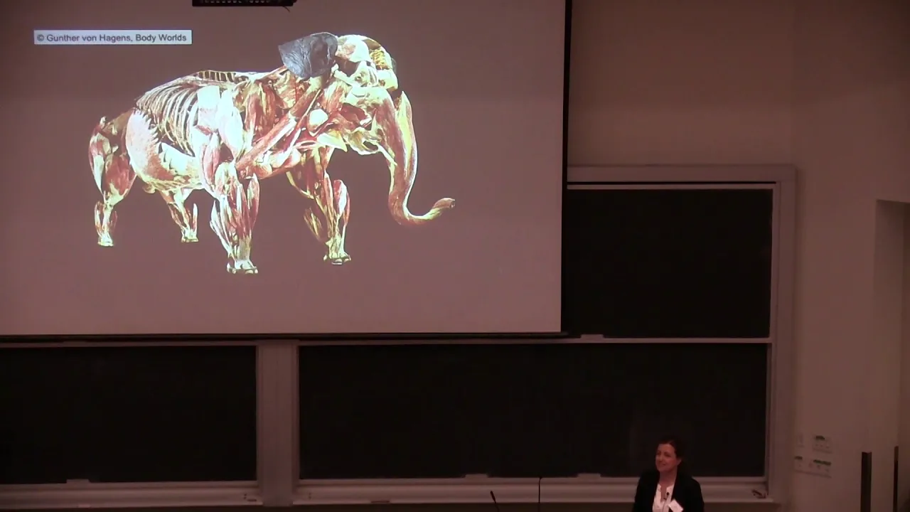 ESEC 2019 - Robotics - Jessica Burgner-Kahrs