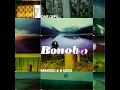 The Plug (Quantic Mix) - Bonobo
