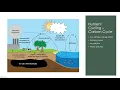 Ecological Processes for SCI 219