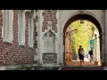 Washington University in St Louis An introduction