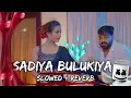 #Video | सड़िया बुलूकिया | #Pawan Singh #Shivani Singh | Sadiya Bulukiya | New Bhojpuri Song 2024