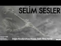 Düğün Havaları: Kına Havası, Gelin Alma Havası - Selim Sesler