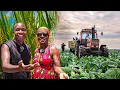 Download Lagu From Belgium to Dominating Agriculture in Zambia