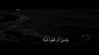 وعسى ان تكرهوا شيئا وهو خير لكم   سورة البقرة   القارئ محمد هشام دندنها