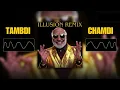 Taambdi Chaamdi - IIIusion Remix - Kratex, Shreyas (Official Visualizer)