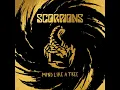 Lagu Scorpions - Mind Like A Tree