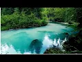Download Lagu Paradise 4k video with  Ikson - Paradise Music