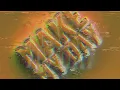 Thomas Gold - Pump Up The Jam (Lyric Video)