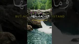 ما تيسر من سورة العنكبوت الشيخ محمد الفقيه Shorts 