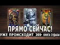 Download Lagu Точное сообщение, которое вам нужно услышать прямо сейчас | ТАРО ПРОГНОЗ НА БУДУЩЕЕ