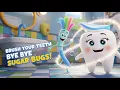Why Do We Brush Our Teeth Bye Bye Sugar Bugs