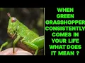 WHEN GREEN GRASSHOPPER CONSISTENTLY COMES IN YOUR LIFE WHAT DOES IT MEAN