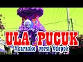 Download Lagu ULA PUCUK #karaoke VERSI #depok