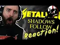 OH MY GOD, AN ACTUAL MELODY? METALLICA - Shadows Follow REACTION! Metal Guitarist Reacts