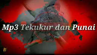 suara punai dan tekukur untuk pikat
