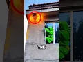 Download Lagu Hornet Nest Removal With A Flamethrower 🔥😱
