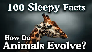 How Do Animals Evolve? 100 Facts to Fall Asleep
