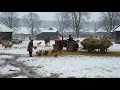 Lagu How do people live in remote Transylvanian villages? Maramures countryside