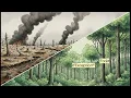 Verdun: The Industrial Hell That Changed Warfare Forever
