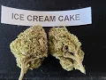 Ice Cream Cake Marijuana Strain