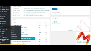 Edit WordPress functions php File from Dashboard No FTP Needed