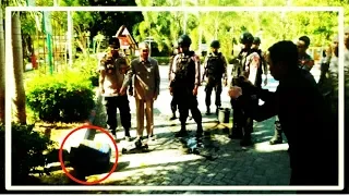 make panic cow dung mistaken for bomb sumbawa besar