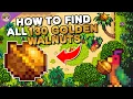 Where to find all 130 Golden Walnuts in Stardew Valley