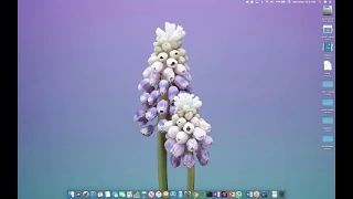 Python-08-Format Operator - 201904080410