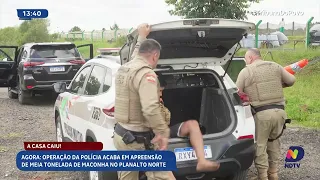 Polícia apreende mais de meia tonelada de maconha em grande operação no Planalto Norte