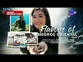 Download Lagu Ang pagpapatuloy ng seafood adventure ni Kara David sa Negros Oriental (Full Episode) | Pinas Sarap