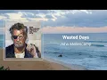 John Mellencamp - "Wasted Days" (Lyrics) 🎵