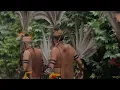 DJ JAUH KO PERGI X SAPE DAYAK - REFORMANDA X DJ HAFIDZ VIRAL TIKTOK 2026