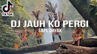 dj jauh ko pergi x sape dayak reformanda x dj hafidz viral tiktok 2026