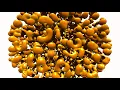 Gray Scott Model of Reaction Diffusion 3D