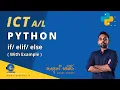 Python Programming - How to Use if elif else Statements in Python