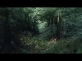 Ludovico Einaudi - Atoms (Official Visualizer)