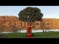 Download Lagu Norouz 1400  Persian dance  Massoumeh Jaan