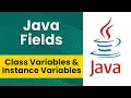 Java Fields Class Variables Instance Variables