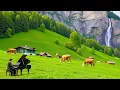 Download Lagu Musik Klasik Menghubungkan Hati dan Jiwa 🌿 Mozart, Beethoven, Bach, Schubert, Chopin, Tchaikovsky