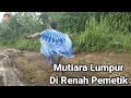Download Lagu Mutiara Lumpur Renah Pemetik negri sekepal tanah surga