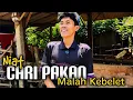 Download Lagu Cari pakan malah berujung gini #oscarfarm 