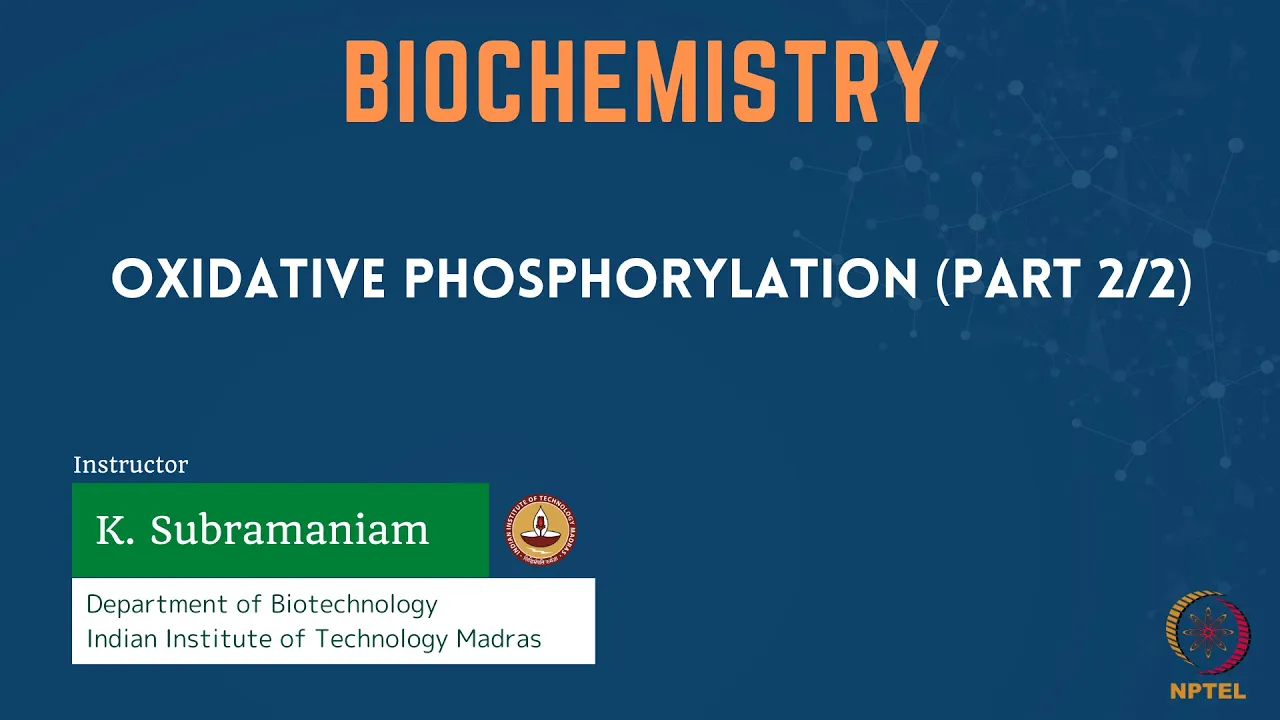 Oxidative Phosphorylation (Part 2/2)