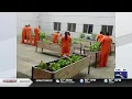 Brown County Sheriff s Office highlights inmates tending to jail garden